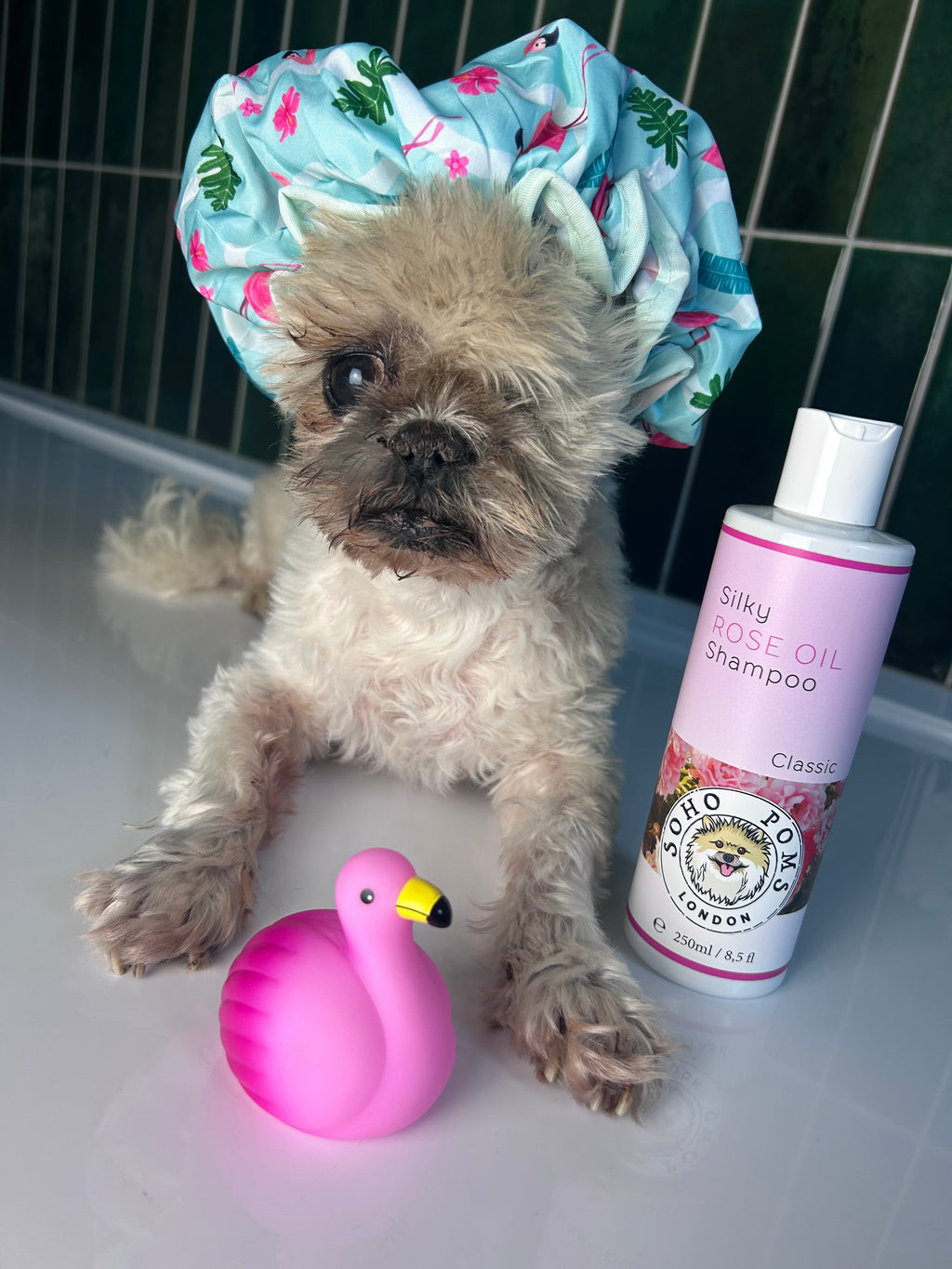 Rose Oil Dog Shampoo by SohoPoms - 250ml product image