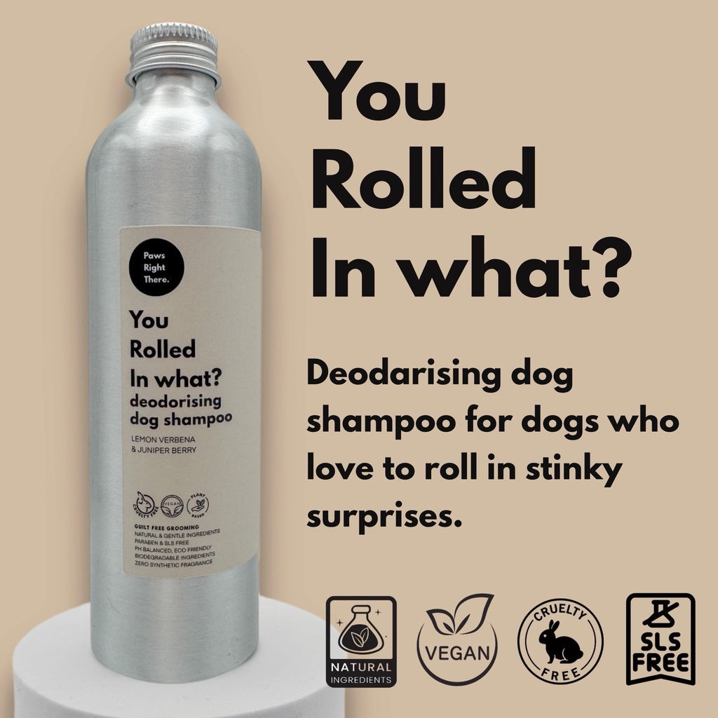 You Rolled in What?! Deodorising Dog Shampoo – 250ml product image