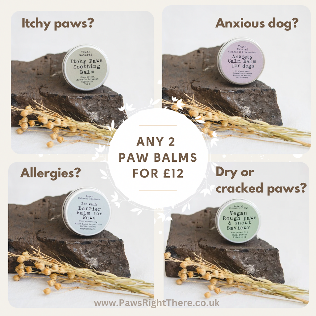 Itchy Paw Balm for Dogs | Soothing Paw Care by Paws Right There – image 3