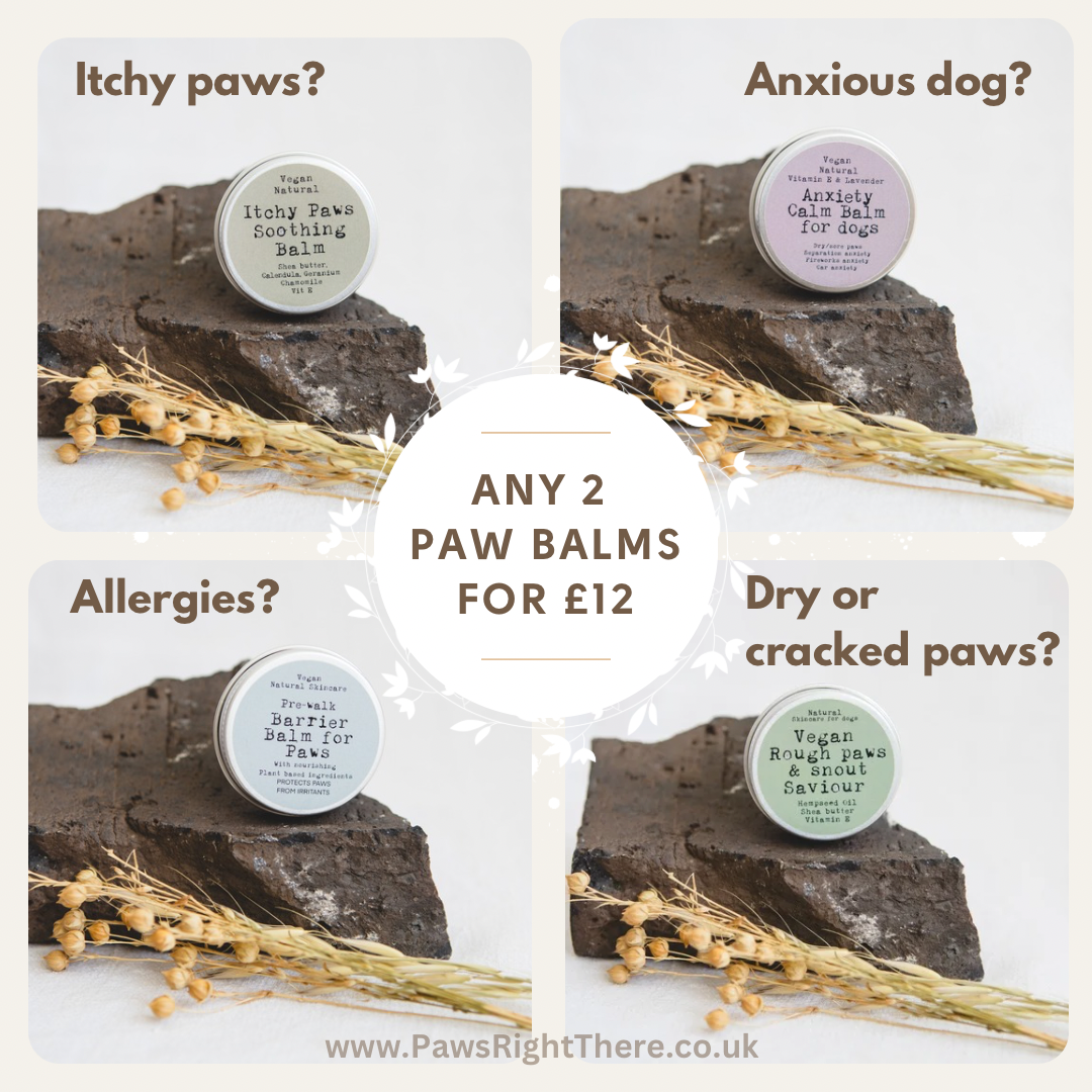Itchy Paw Balm for Dogs | Soothing Paw Care by Paws Right There – image 3