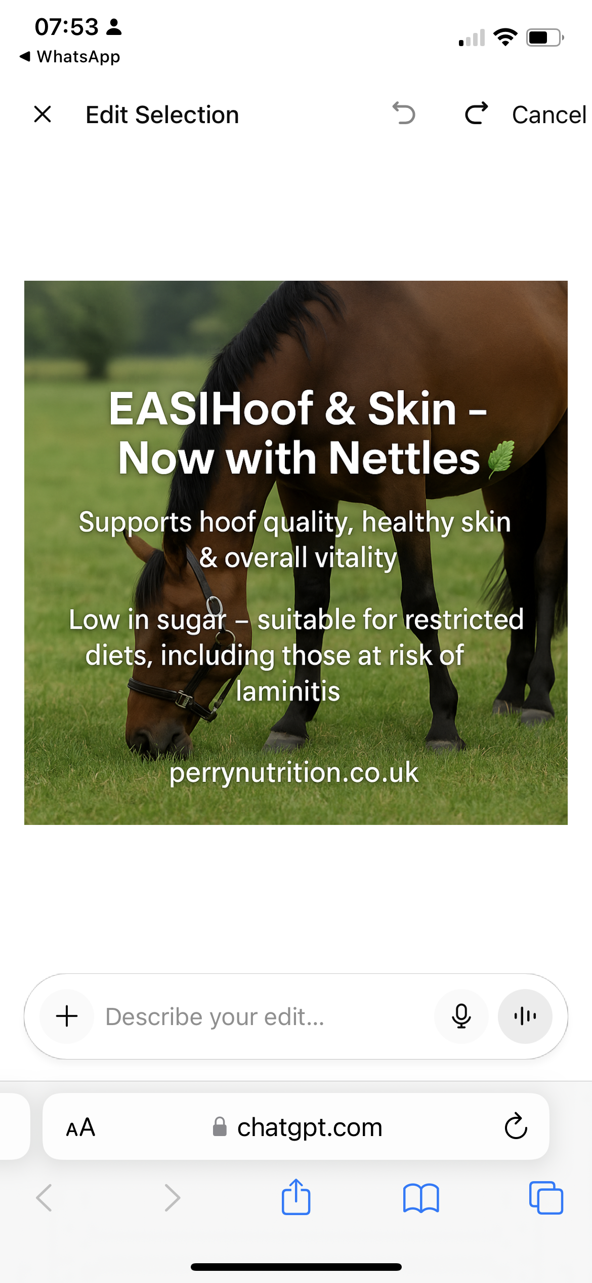 Perry Nutrition EASIHoof & Skin for Horses