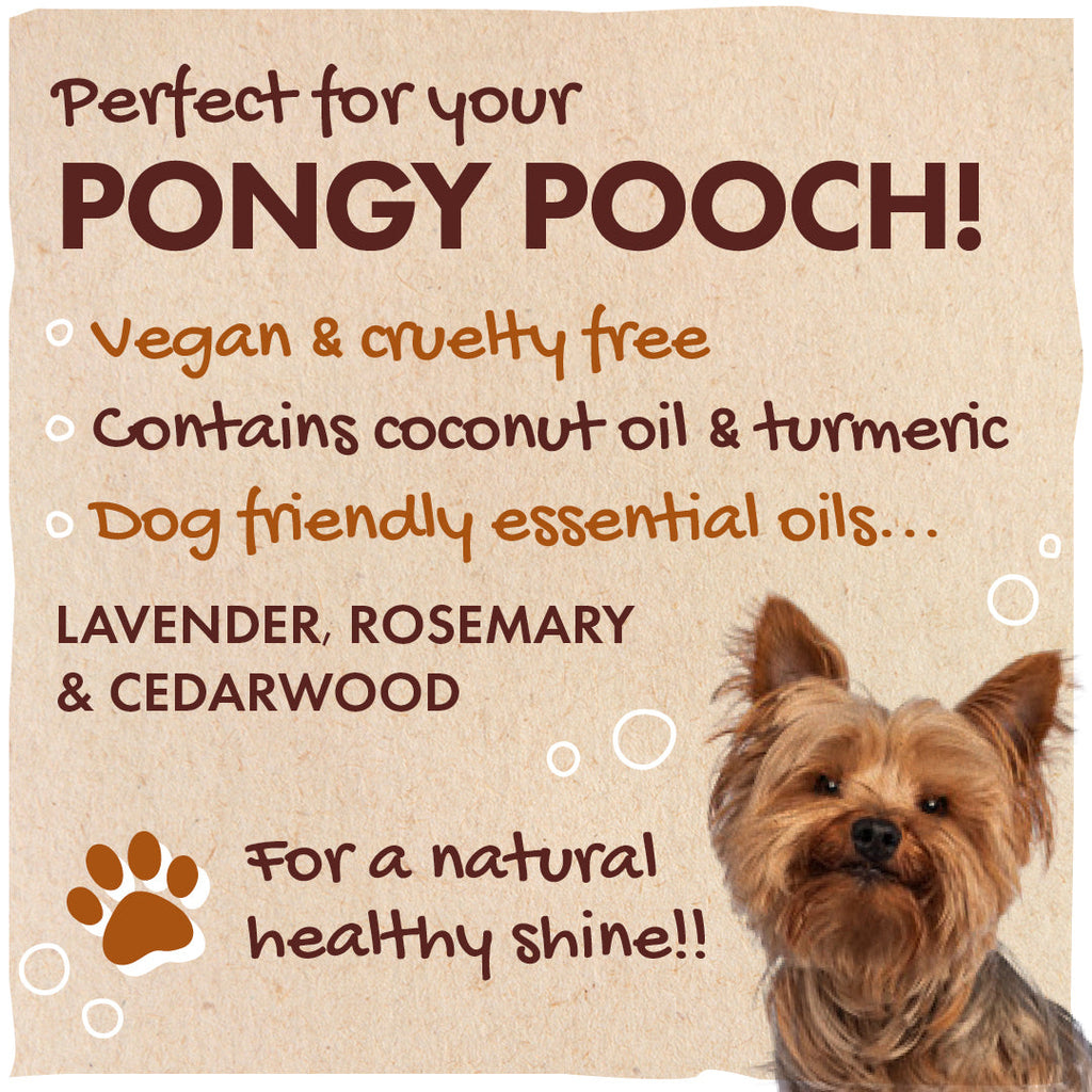 Dog Shampoo - Lavender, Rosemary & Cedarwood product image