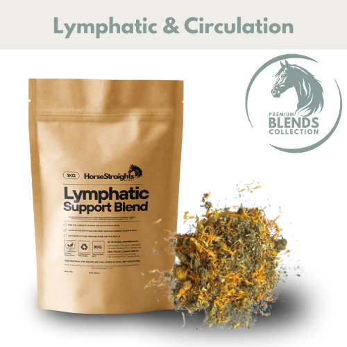 Lymphatic Support Blend for Horses - Wellbeing Pets