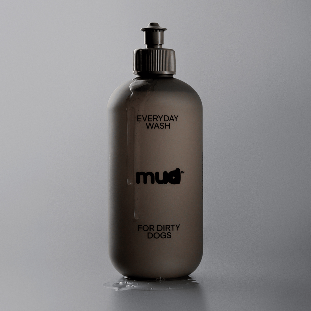 Everyday Wash for Dirty Dogs 400ml product image