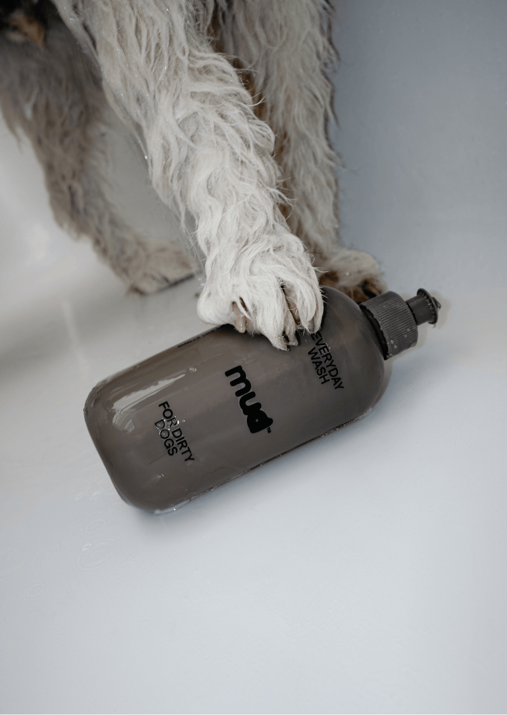 Everyday Wash for Dirty Dogs 400ml product image