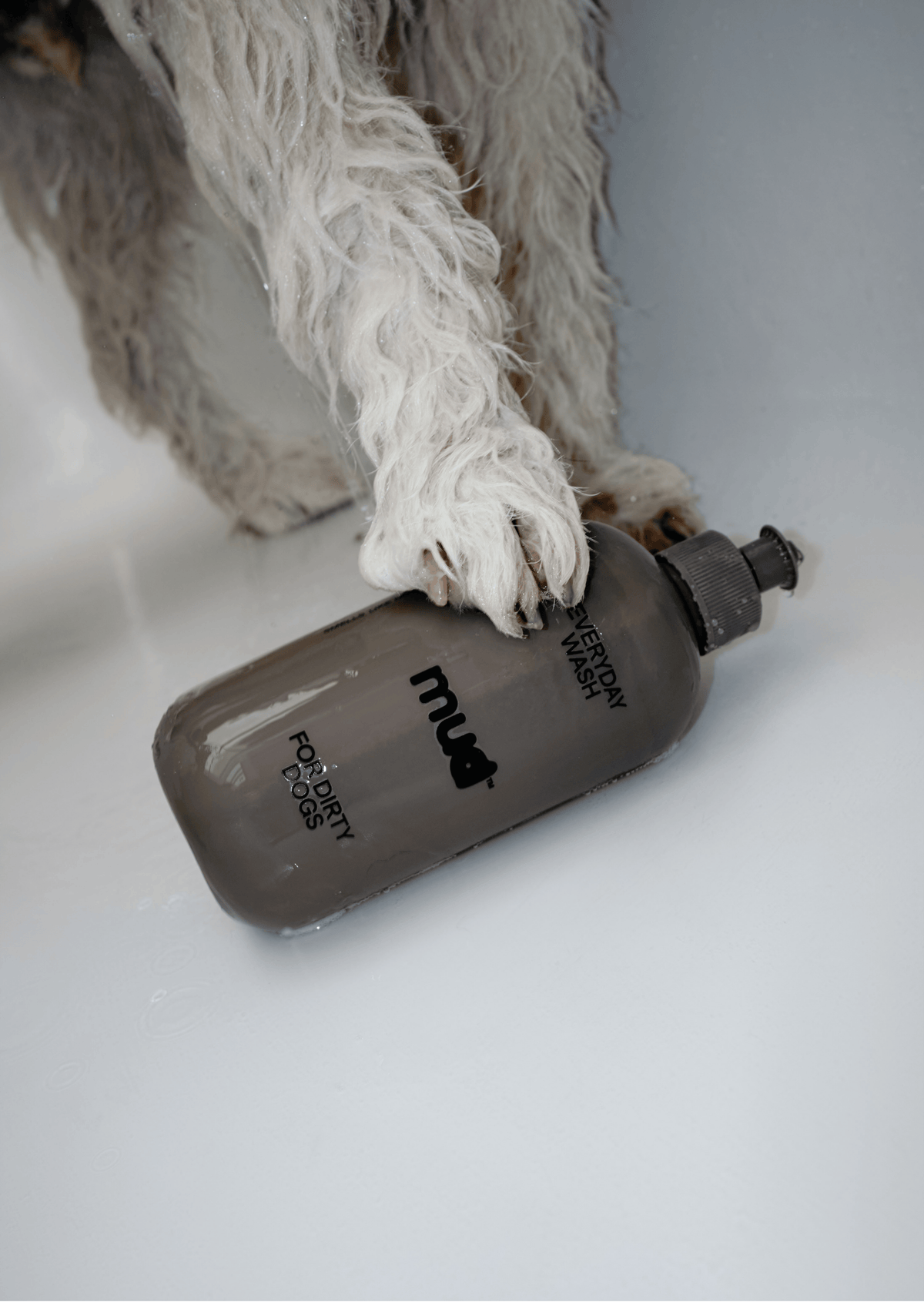 Everyday Wash for Dirty Dogs 400ml product image
