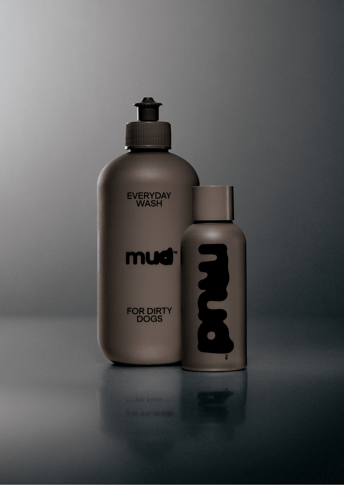 Everyday Wash for Dirty Dogs 400ml product image