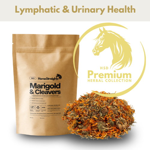 Marigold & Cleavers Mix for Horses - Wellbeing Pets