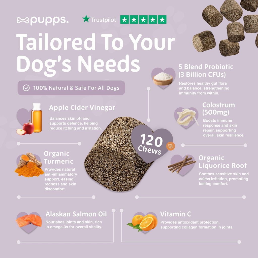 Itch Relief Treats for Dogs by Pupps – image 5