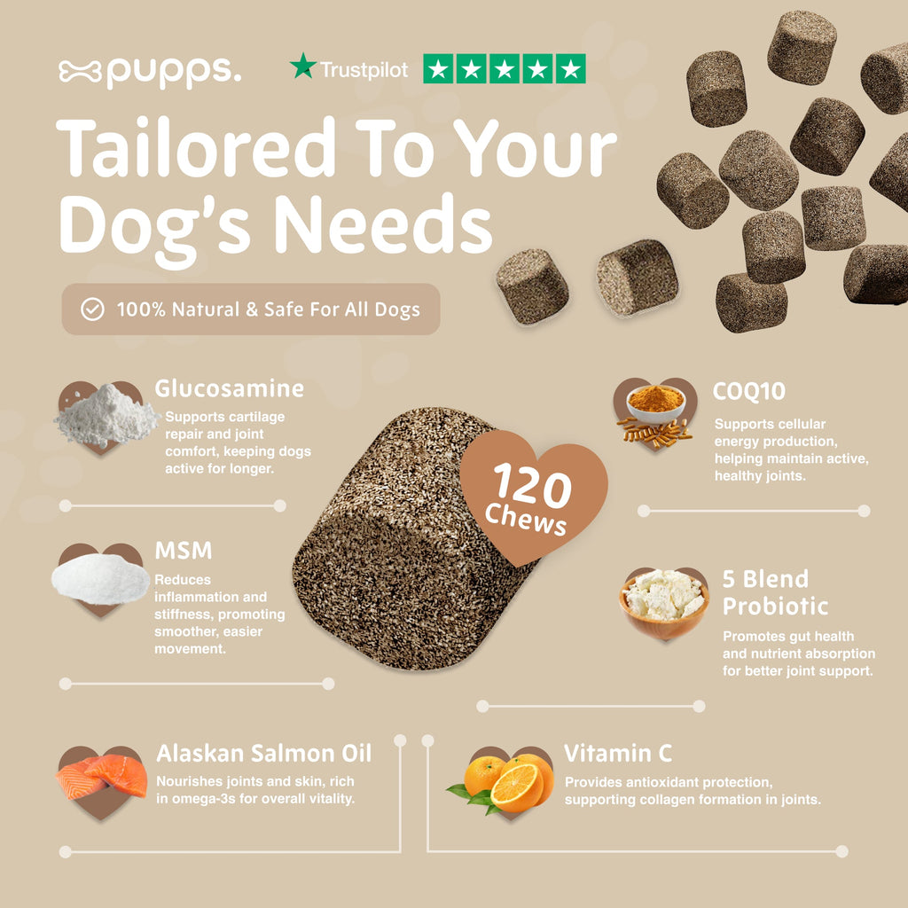 Multivitamin Treats for Dogs by Pupps – image 5