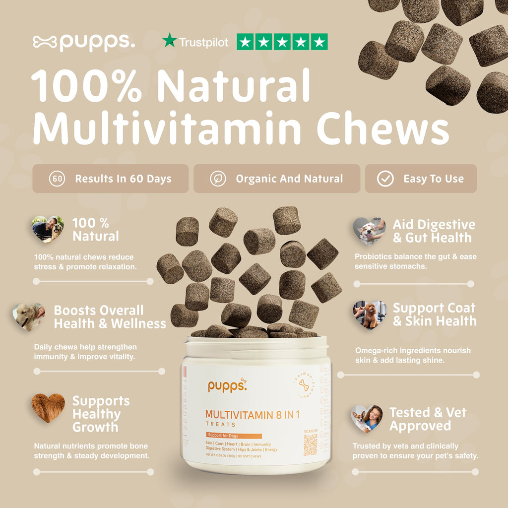 Multivitamin Treats for Dogs by Pupps – image 6