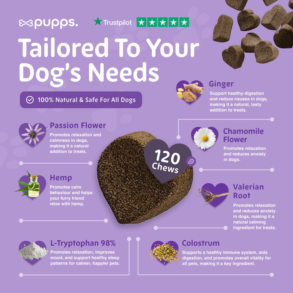 Calming Treats for Dogs by Pupps – image 5