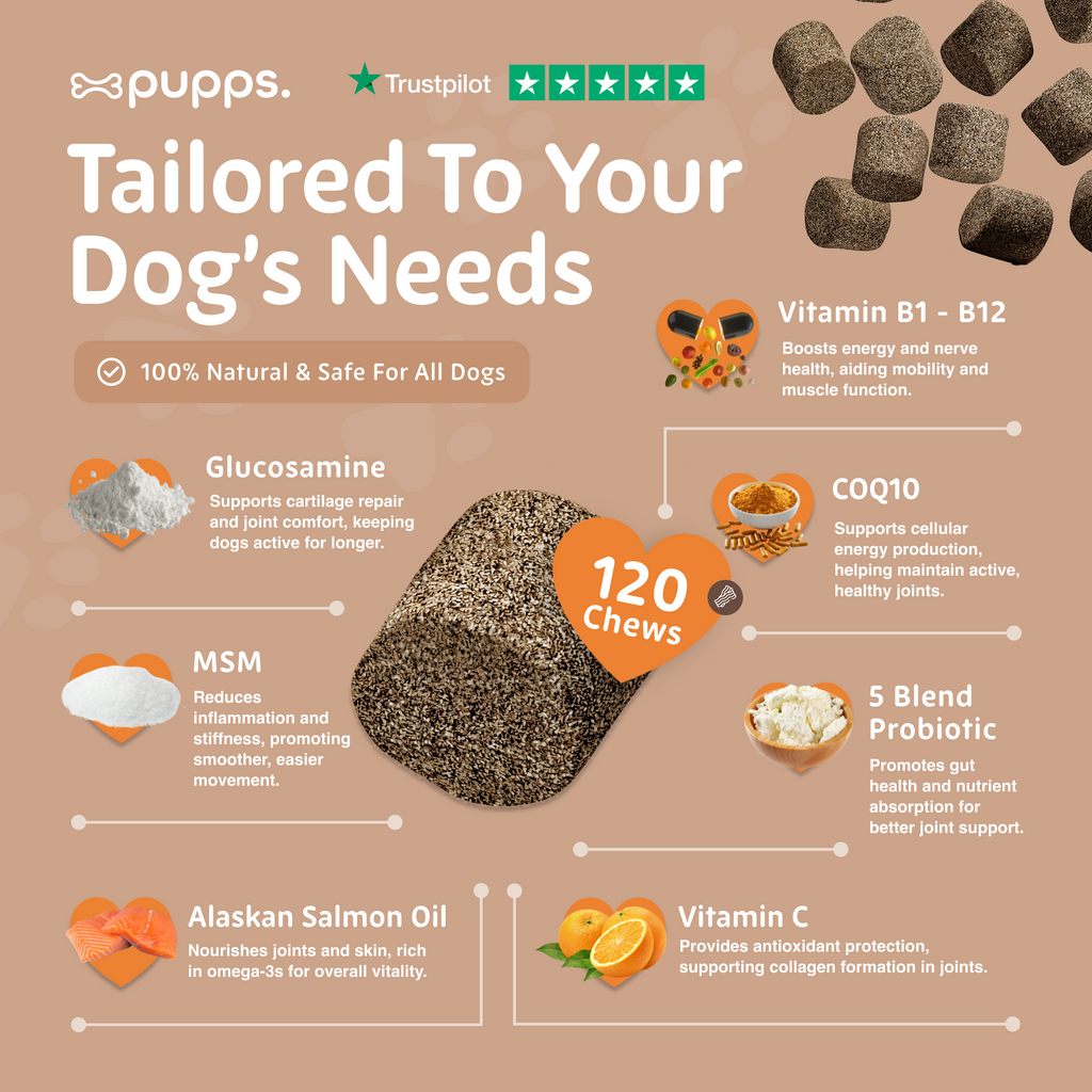 Skin & Coat Treats for Dogs by Pupps – image 4