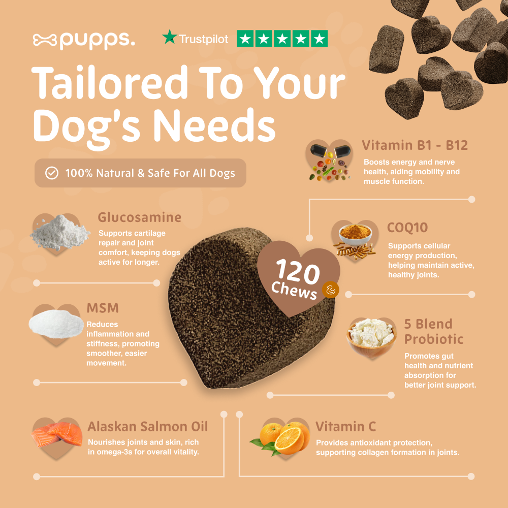 Hip & Joint Treats for Dogs by Pupps – image 5