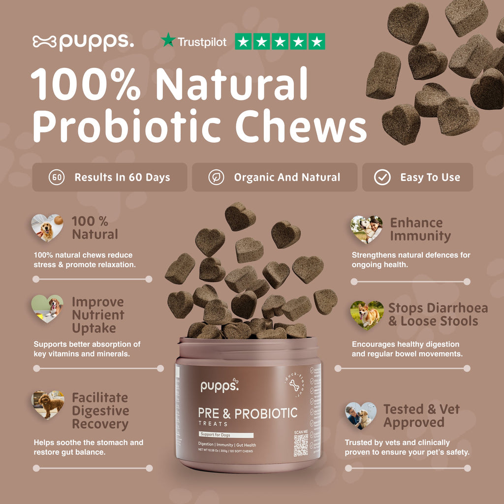 Pre & Probiotic Treats for Dogs by Pupps – image 3