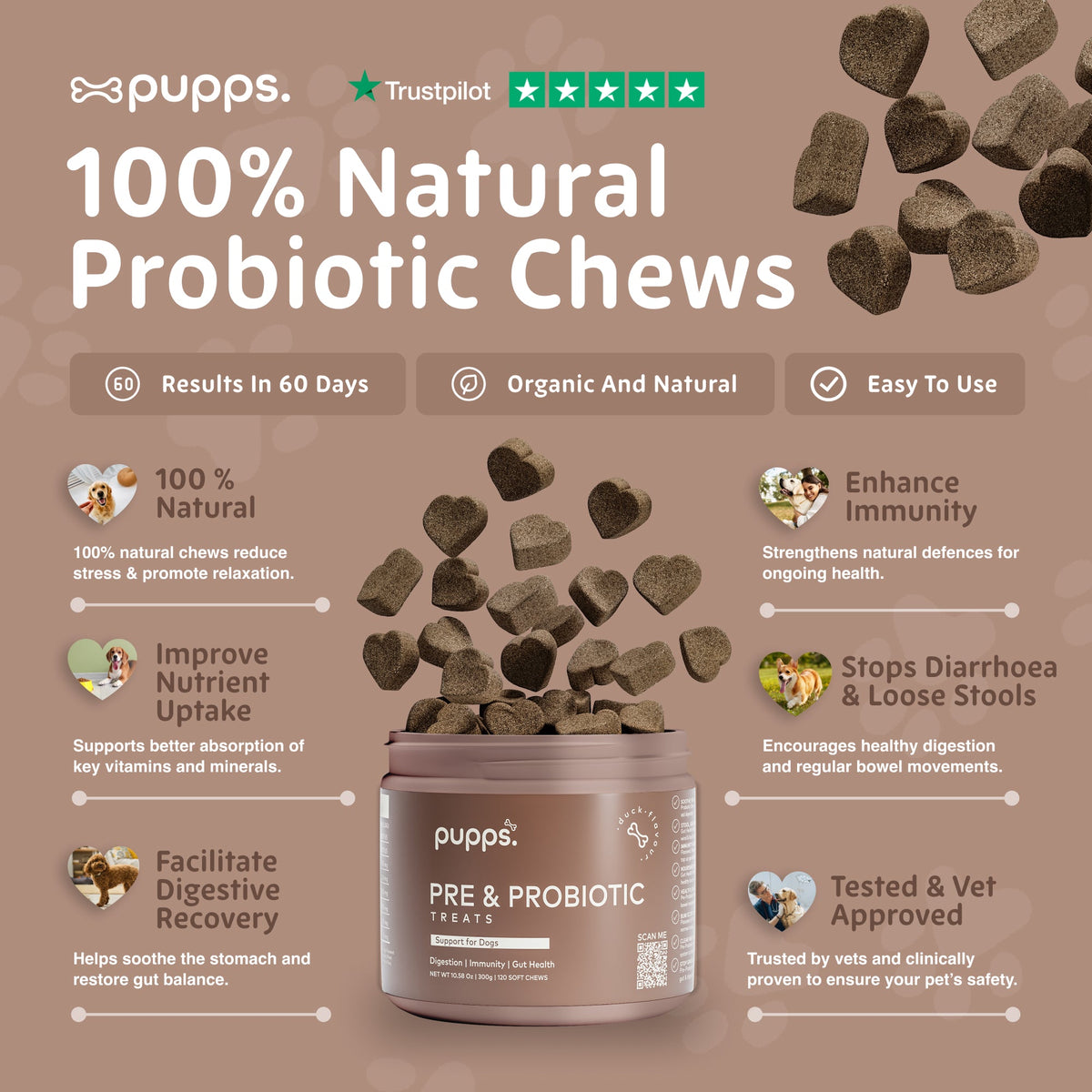 Pre & Probiotic Treats for Dogs by Pupps – image 3
