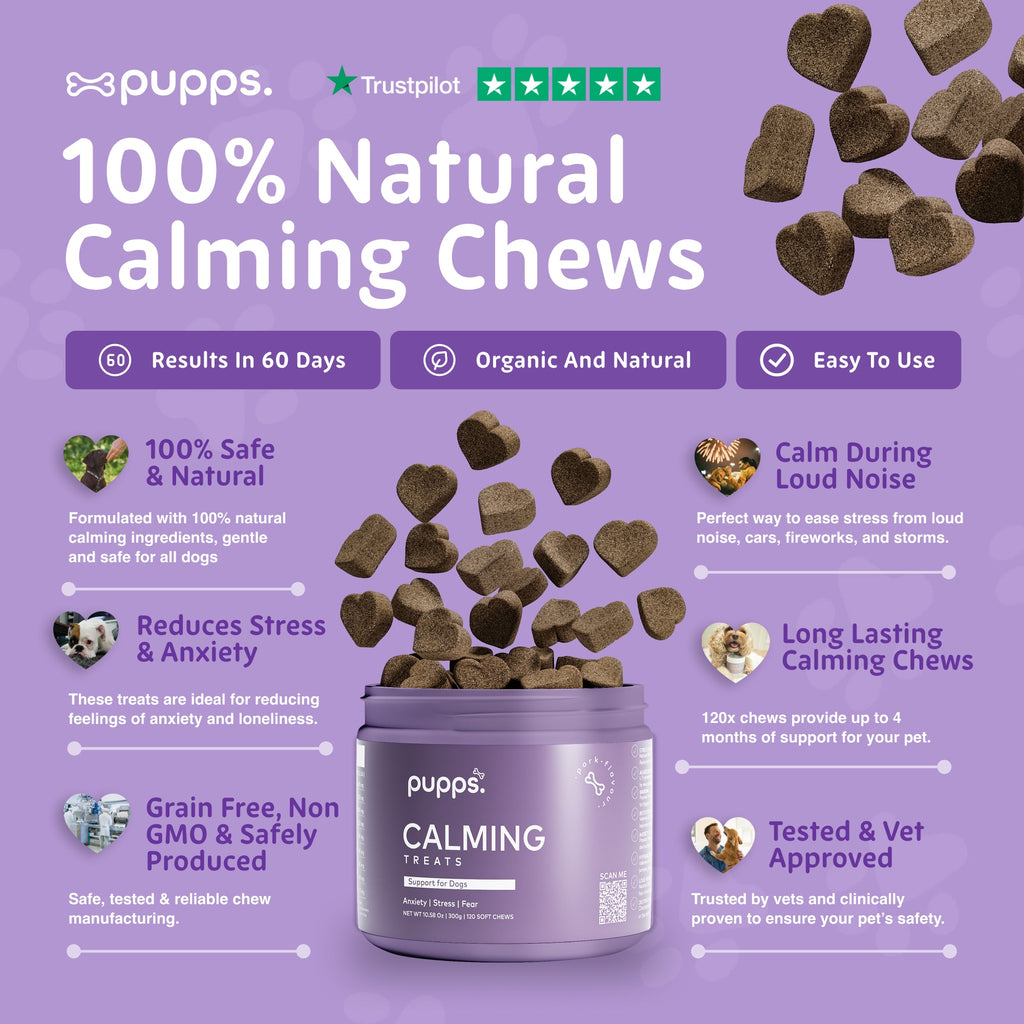 Calming Treats for Dogs by Pupps – image 3