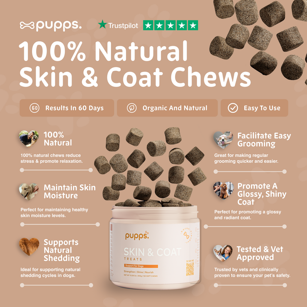 Skin & Coat Treats for Dogs by Pupps – image 3