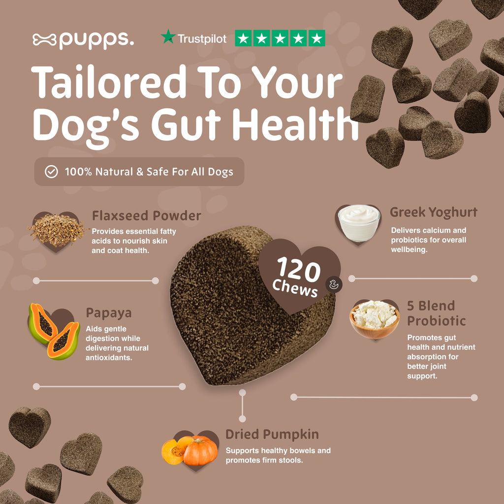 Pre & Probiotic Treats for Dogs by Pupps – image 5