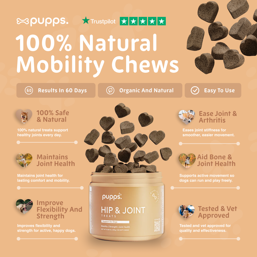 Hip & Joint Treats for Dogs by Pupps – image 3