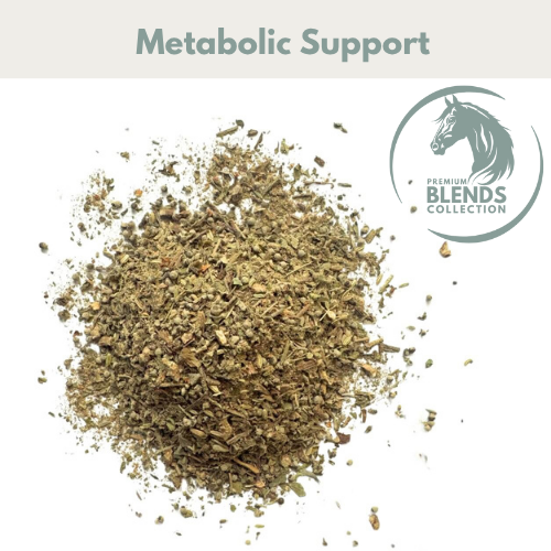 Metabolic Support Blend for Horses - image 2 - Wellbeing Pets