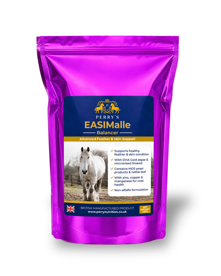 Perry Nutrition EASIMalle Balancer | Horse Skin Support