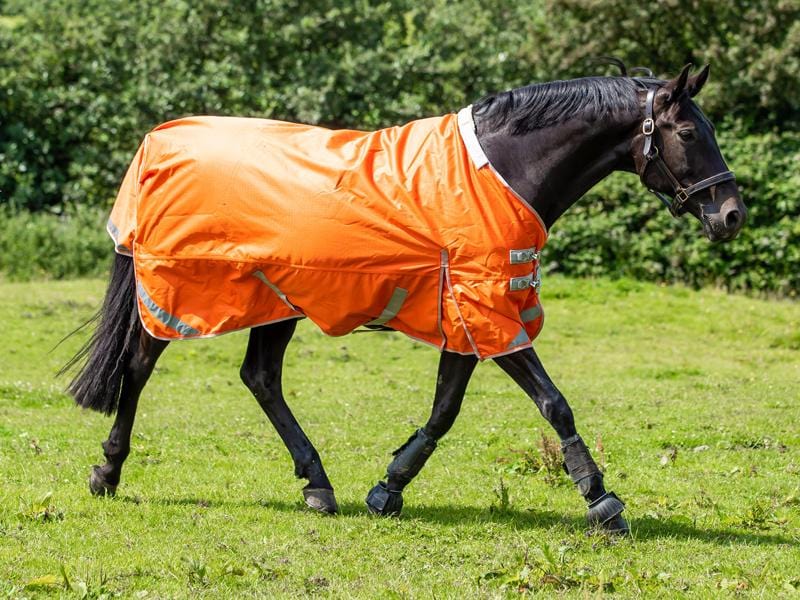 50g Detachable Neck Turnout Rug - Orange