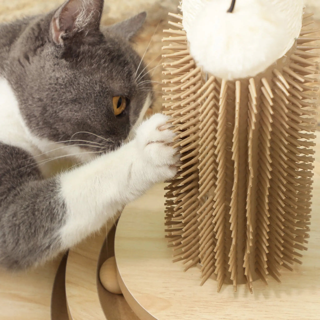 PawHut 5-in-1 Cat Scratching Post & Grooming Station | 49cm product image