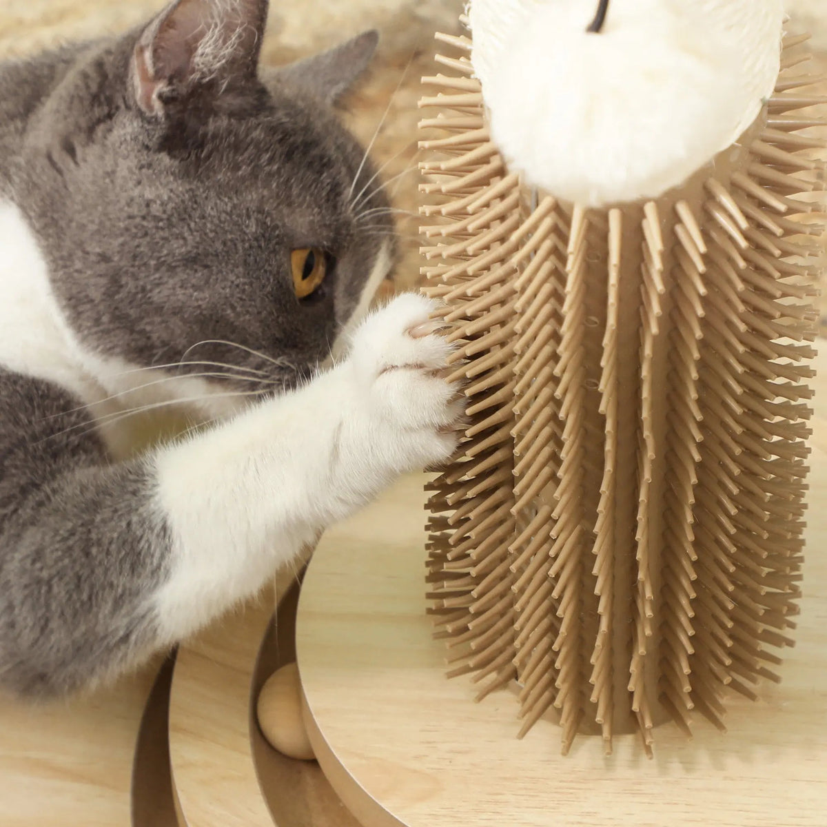 PawHut 5-in-1 Cat Scratching Post & Grooming Station | 49cm product image