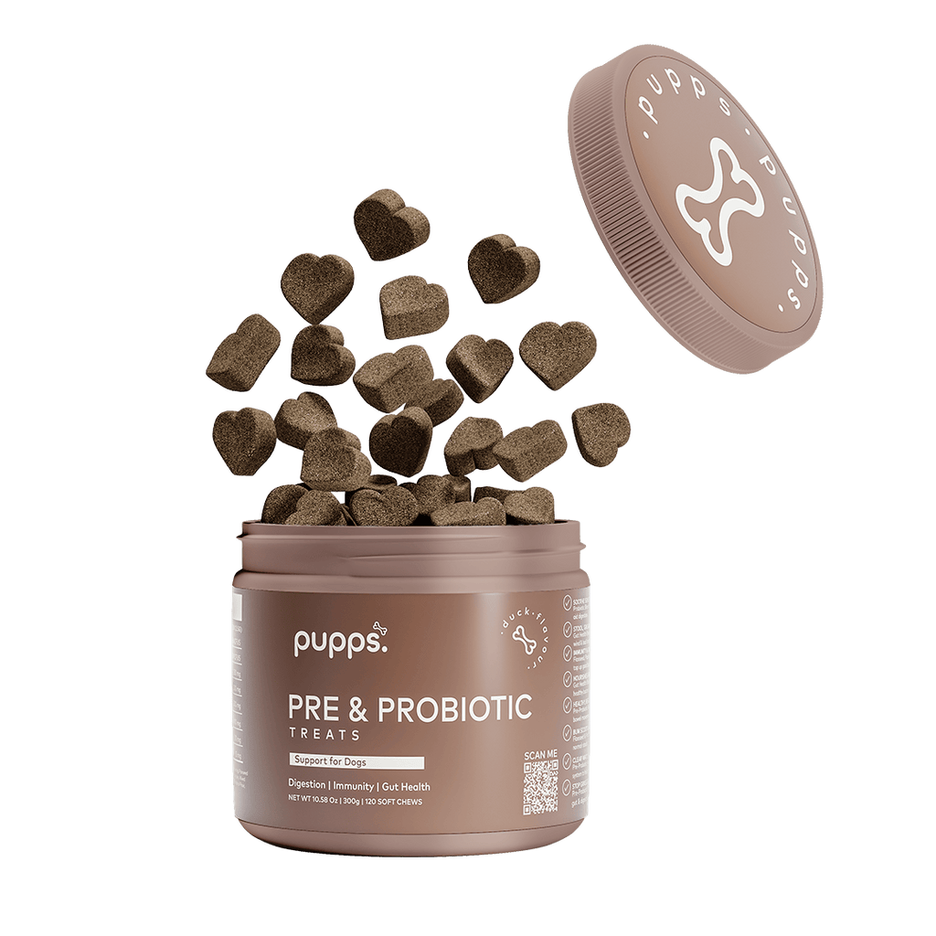 Pre & Probiotic Treats for Dogs by Pupps – image 1