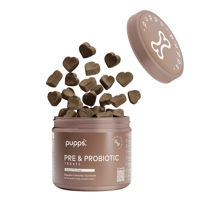 Pre & Probiotic Treats for Dogs