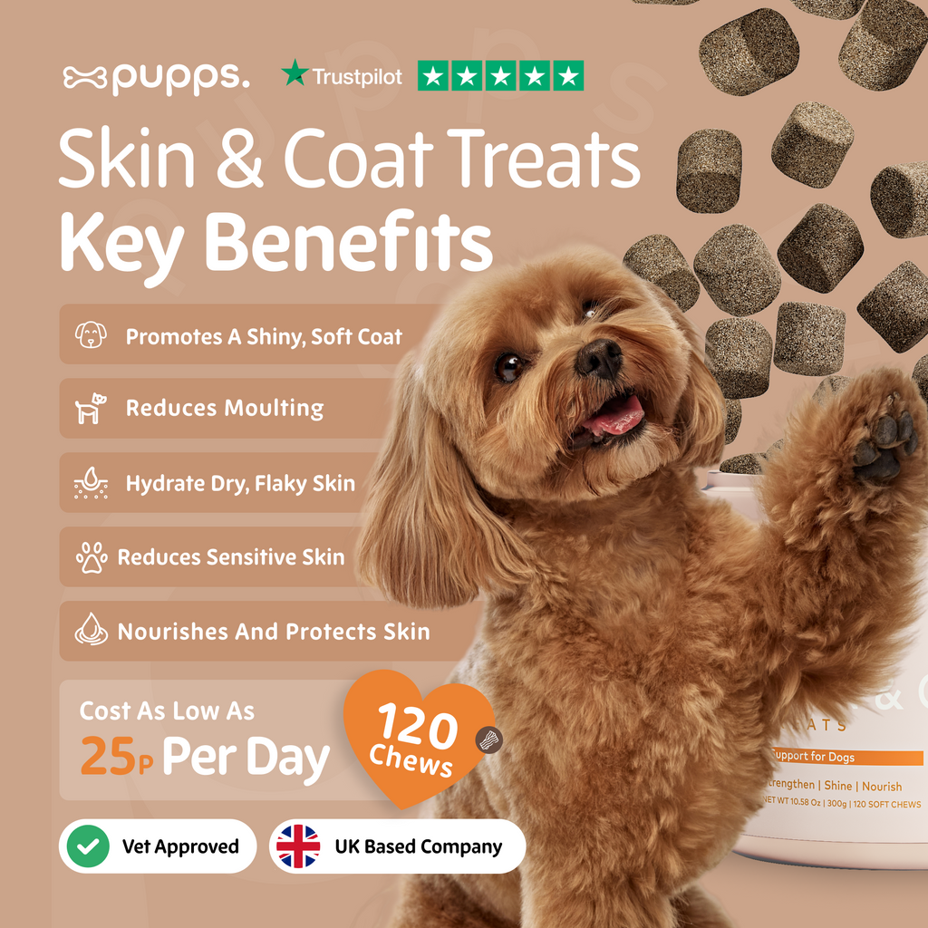 Skin & Coat Treats for Dogs by Pupps – image 2