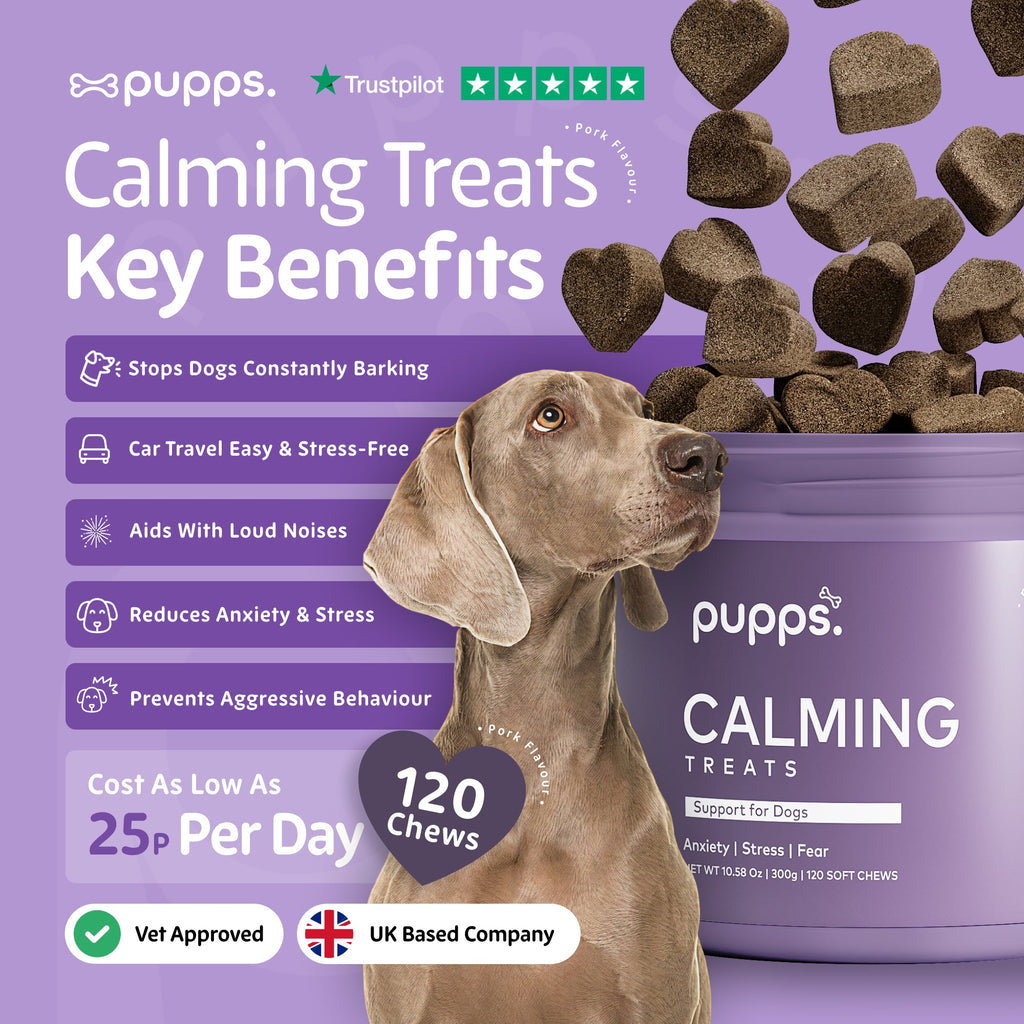 Calming Treats for Dogs by Pupps – image 2