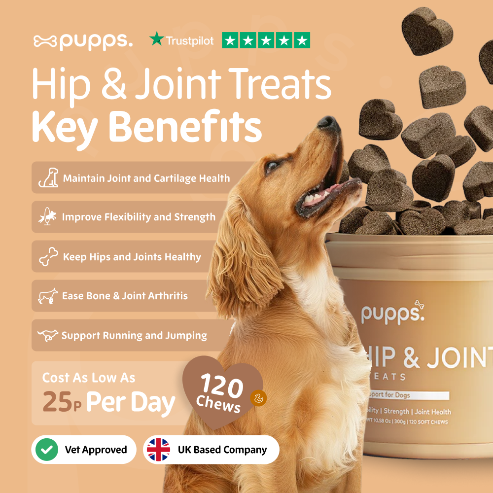Hip & Joint Treats for Dogs by Pupps – image 2