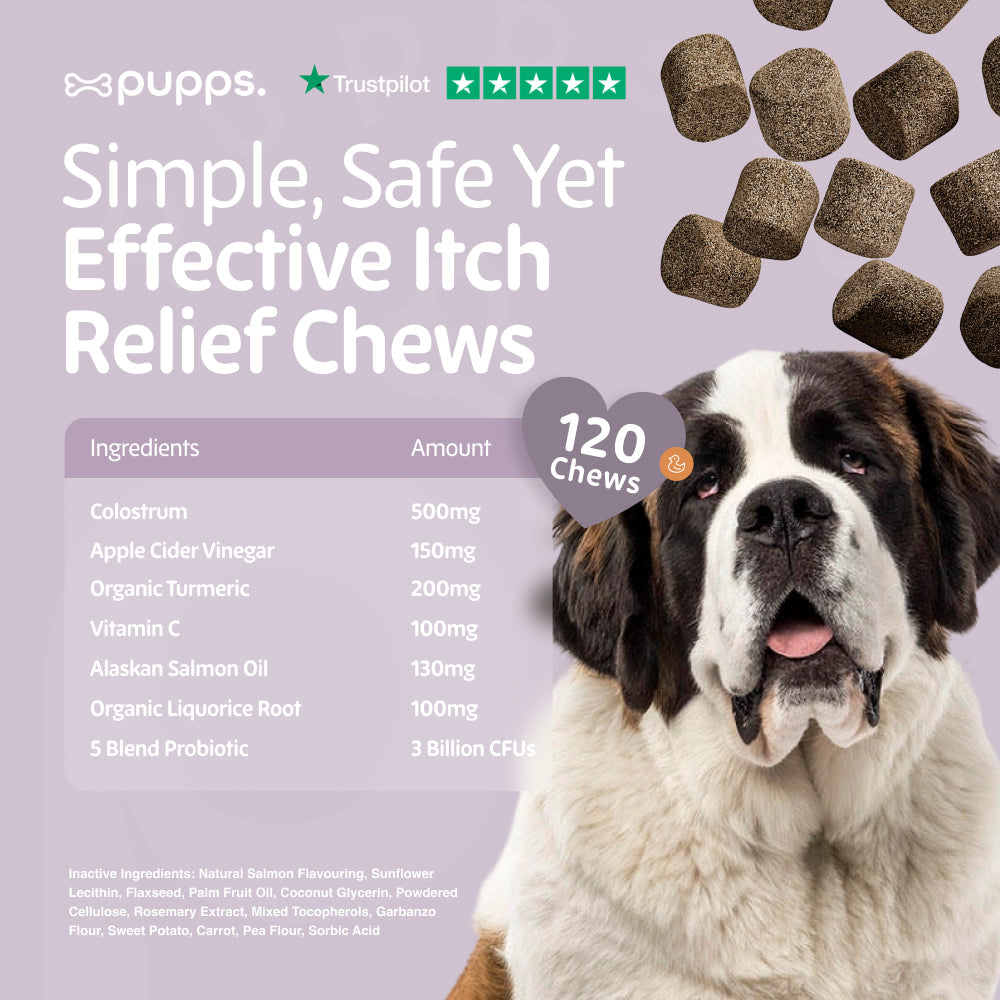 Itch Relief Treats for Dogs by Pupps – image 9
