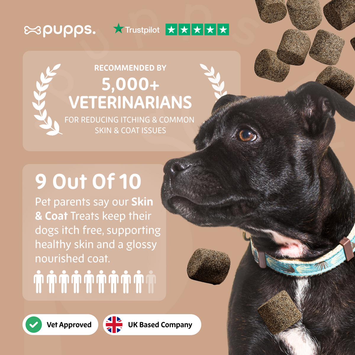 Skin & Coat Treats for Dogs by Pupps – image 7