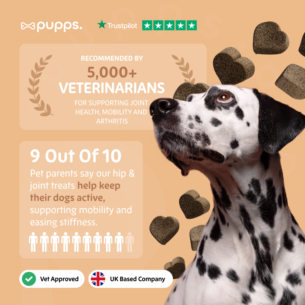 Hip & Joint Treats for Dogs by Pupps – image 8
