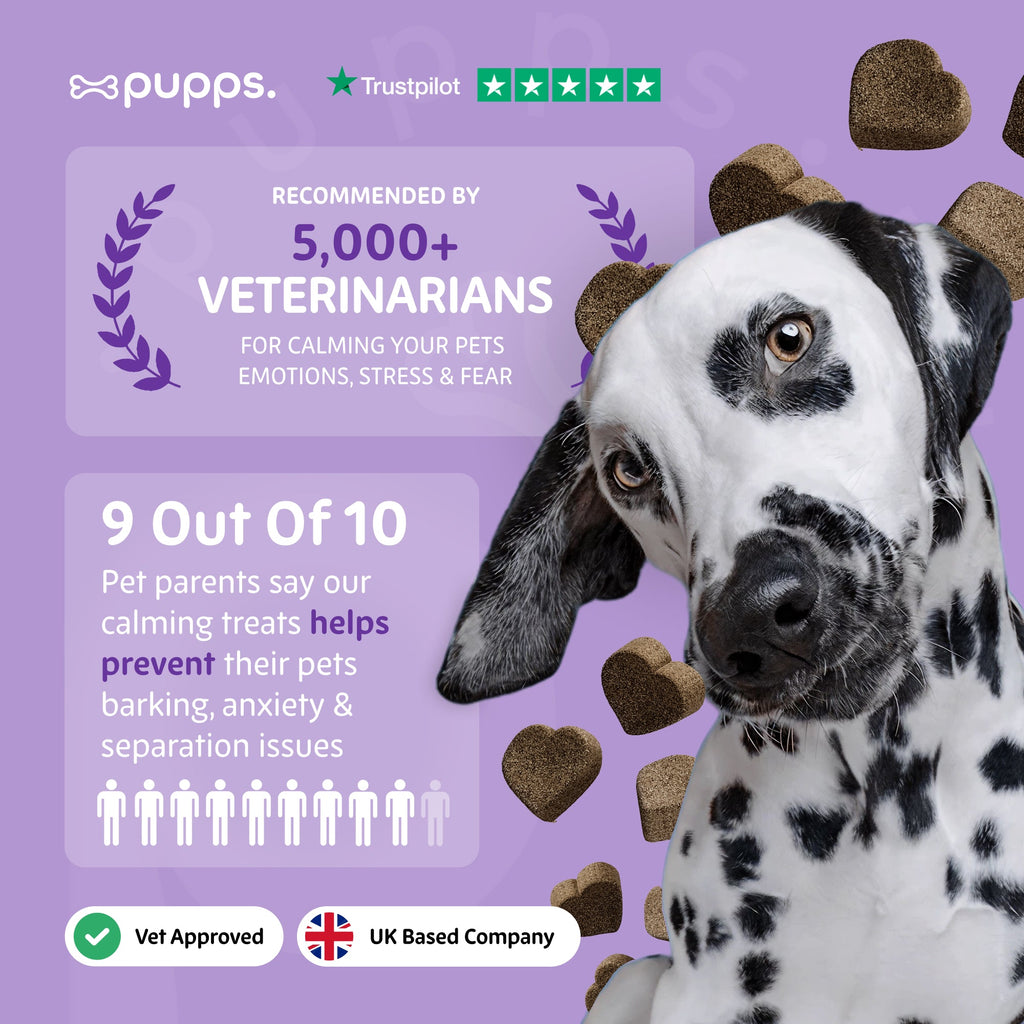 Calming Treats for Dogs by Pupps – image 8