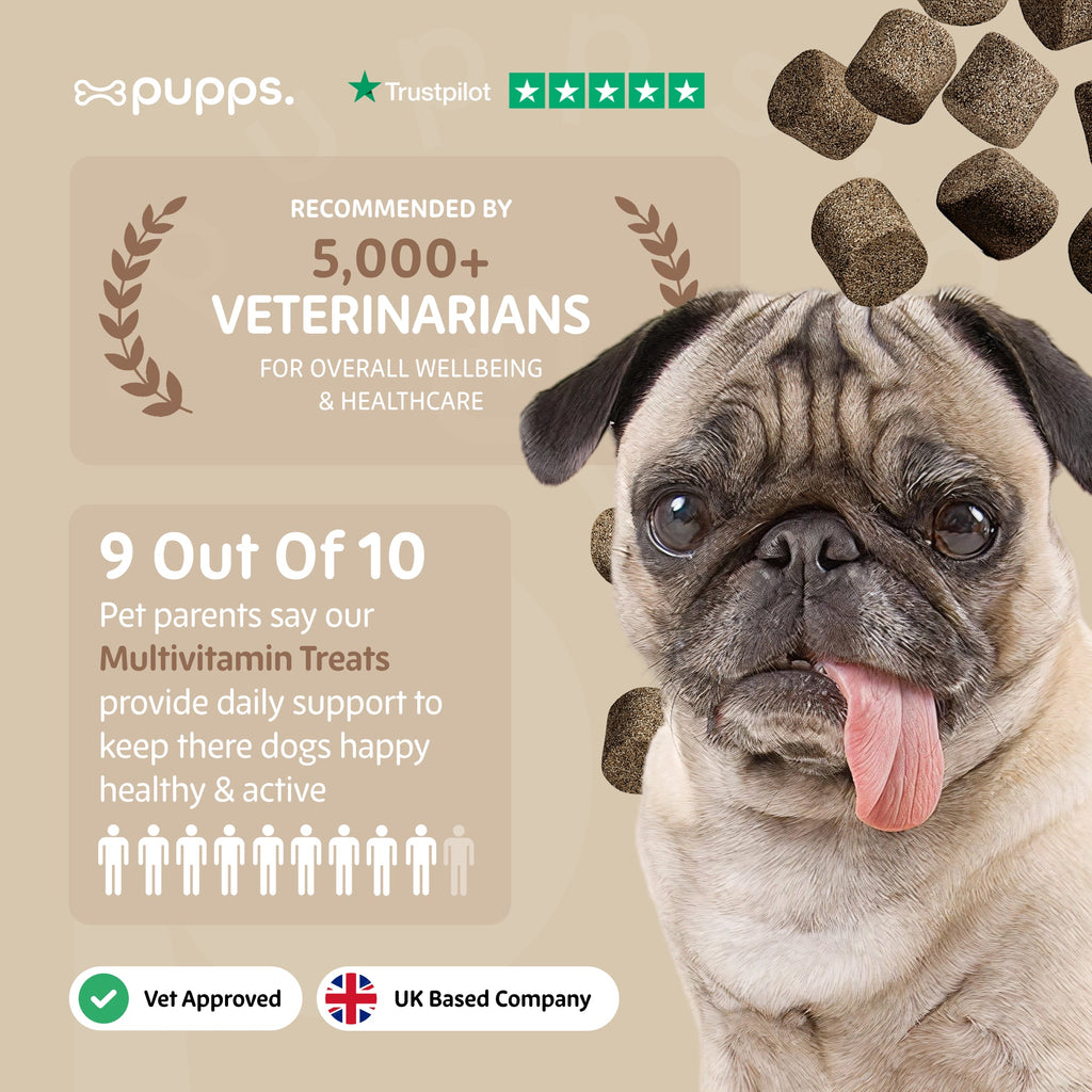 Multivitamin Treats for Dogs by Pupps – image 7