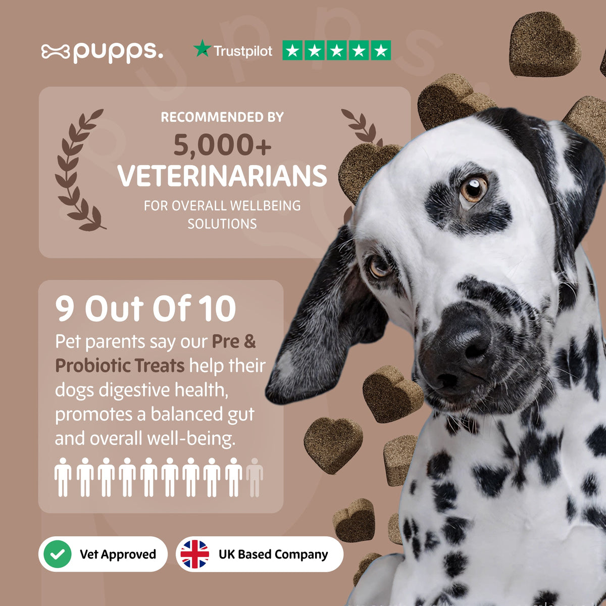 Pre & Probiotic Treats for Dogs by Pupps – image 8