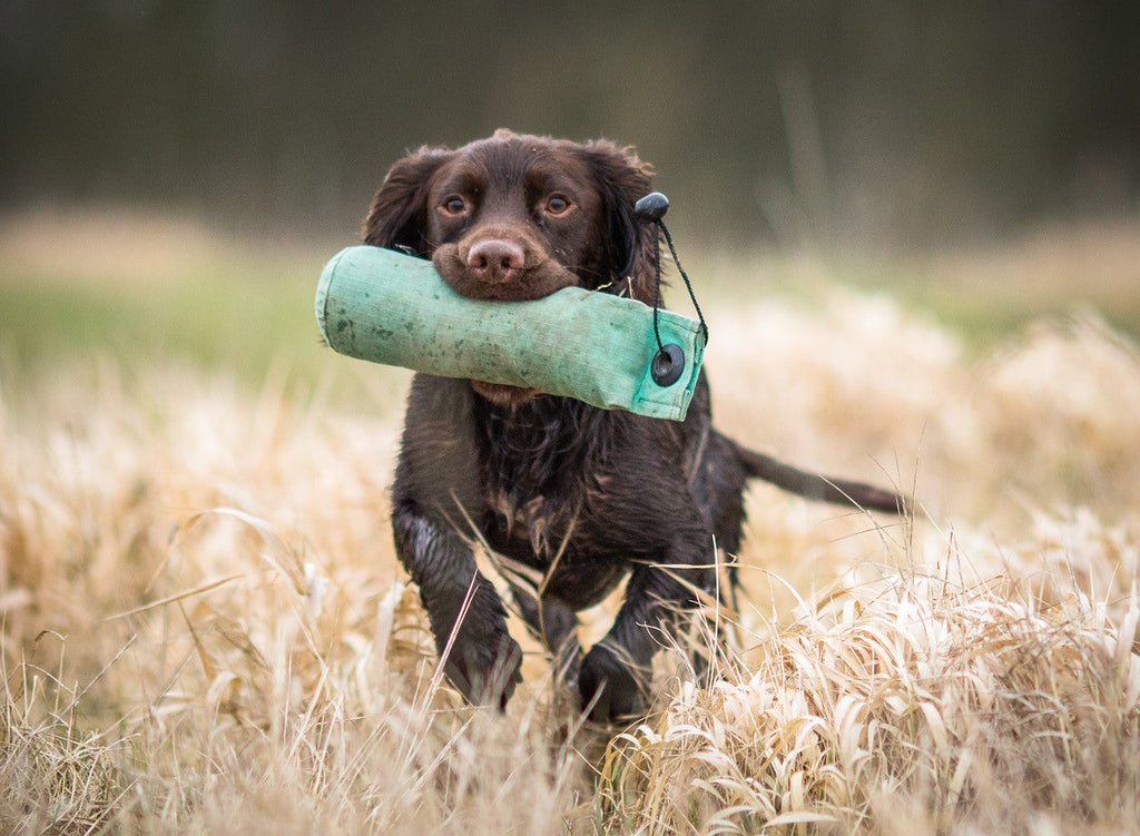 Max Strength Canine Joint Support by Winston and Porter – image 6