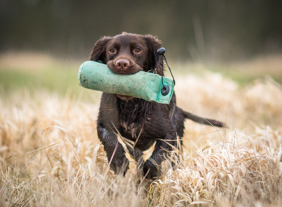 Max Strength Canine Joint Support by Winston and Porter – image 6