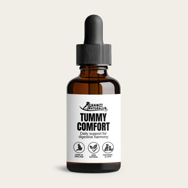 Tummy Comfort Drops for Dogs & Cats