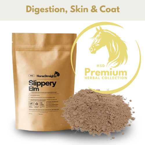 Slippery Elm for Horses - Wellbeing Pets