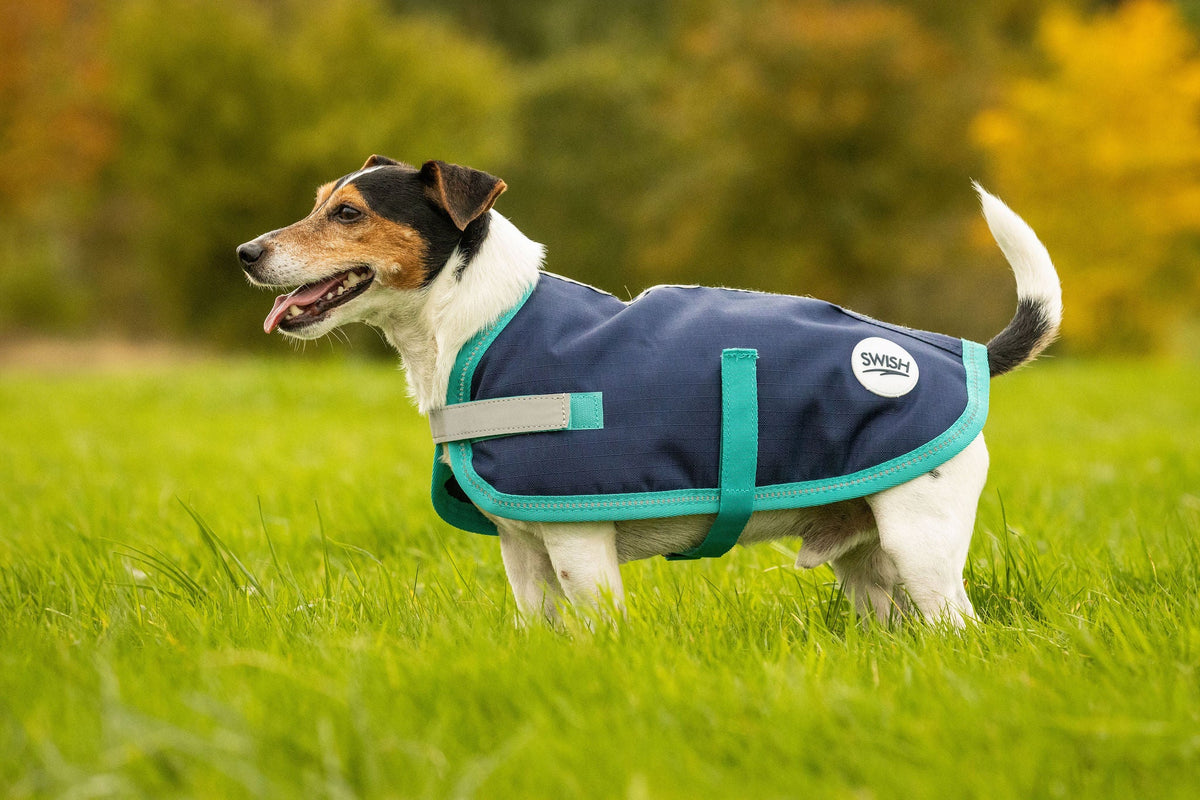 Classic Waterproof Dog Coat 250g - Navy