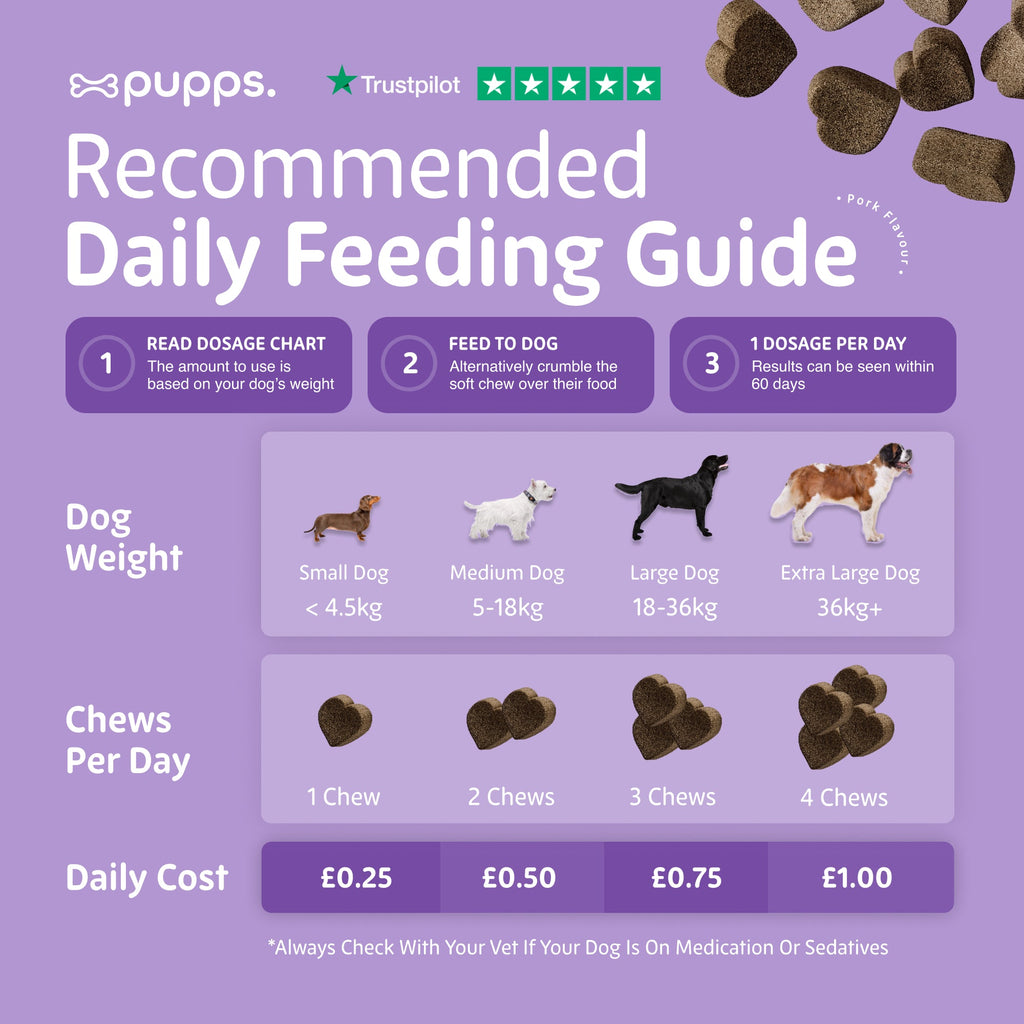 Calming Treats for Dogs by Pupps – image 4
