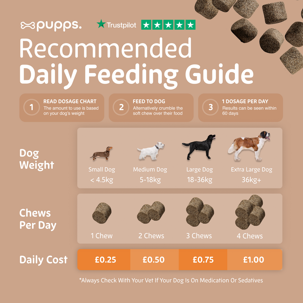 Skin & Coat Treats for Dogs by Pupps – image 8