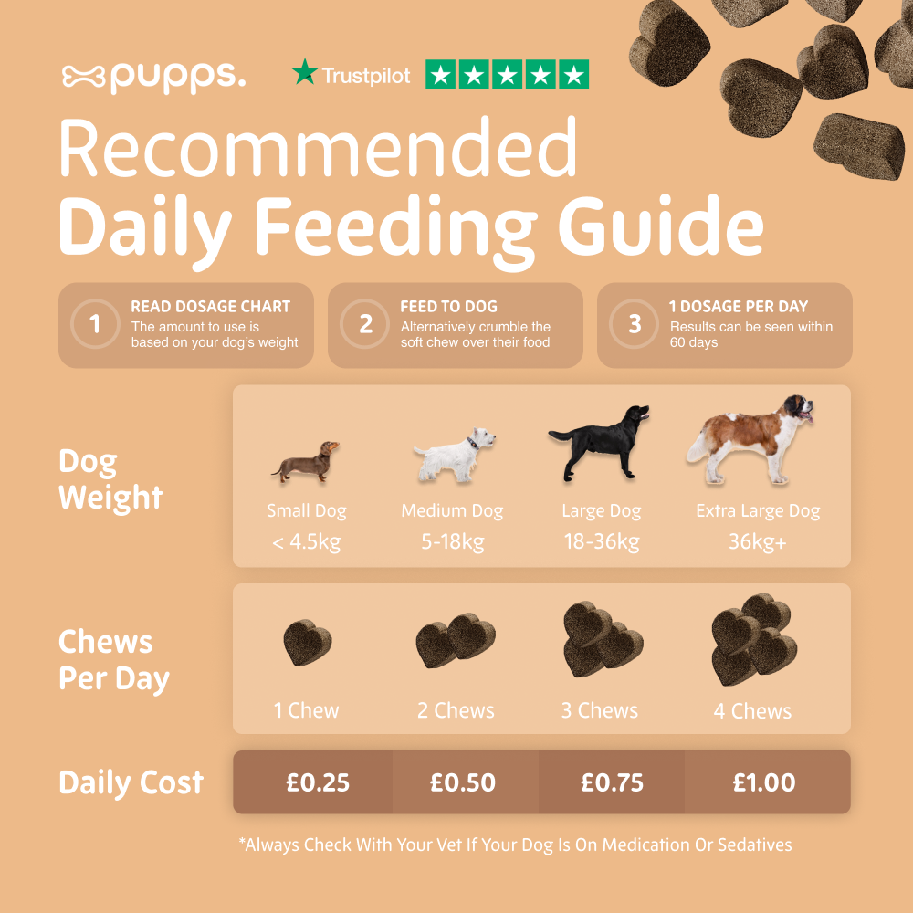 Hip & Joint Treats for Dogs by Pupps – image 4