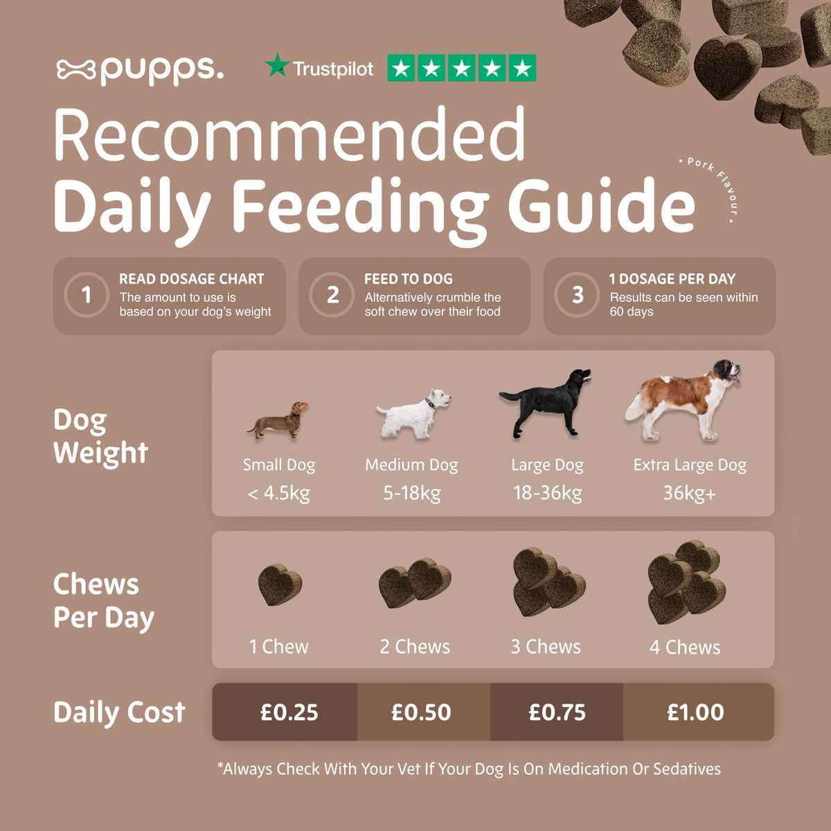 Pre & Probiotic Treats for Dogs by Pupps – image 4