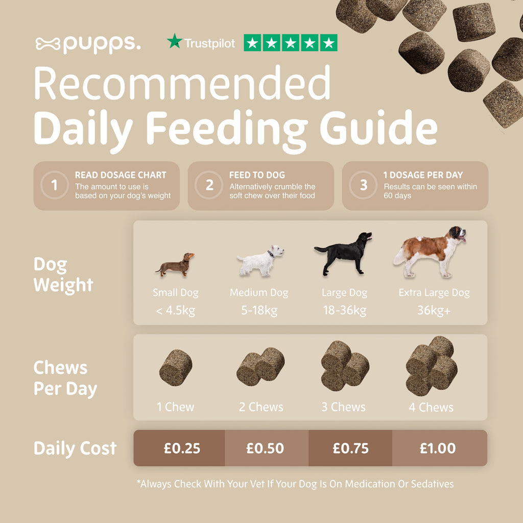 Multivitamin Treats for Dogs by Pupps – image 8